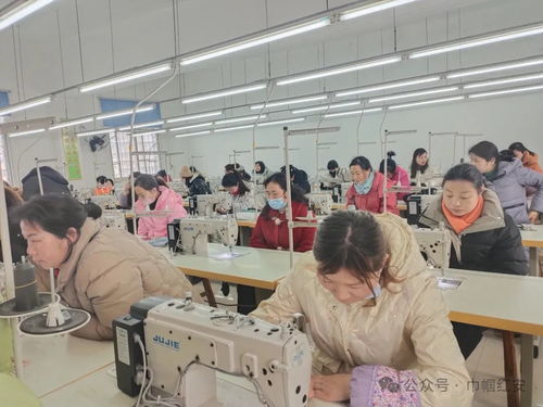 巾幗聯(lián)動(dòng)送技能，多措并舉促就業(yè)——信息技術(shù)咨詢服務(wù)助力婦女零距離發(fā)展