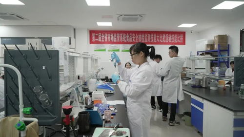 江西全省市場(chǎng)監(jiān)管系統(tǒng)食品安全抽檢監(jiān)測(cè)技能大比武活動(dòng)圓滿落幕，信息技術(shù)咨詢服務(wù)助力監(jiān)管能力提升